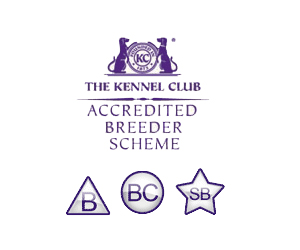 Breeder scheme