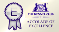 kennel-club-excellence-award